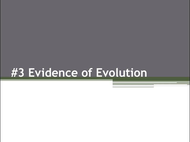 #3   Evidence of Evolution