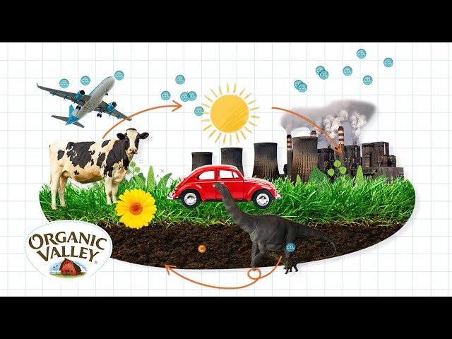 Carbon Sequestration Explained | Ask Organic Valley