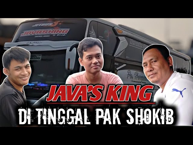 JAVA'S KING 020 DI TINGGAL PAK SHOKIB LIBUR, INI DRIVER PENGGANTINYA..