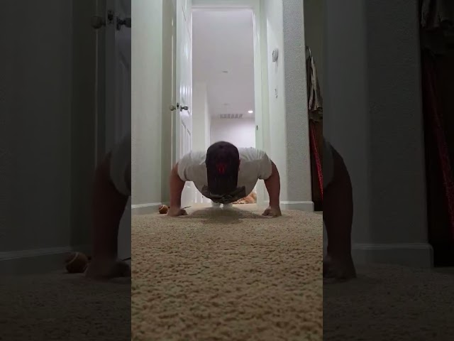 Day 284 - 22 Push Ups  #health #motivation #anxiety  #depression #fitness  #goals #dog #puppy