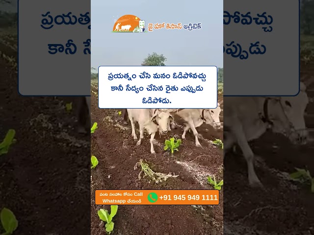 jhk farmer quote | motivational quotes telugu | inspirational quotes  @JaiHoKisan