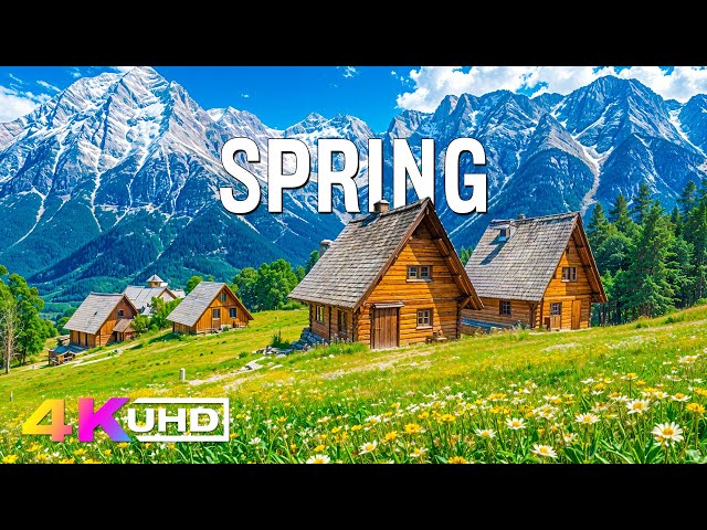 Spring in 4K UHD • Relaxing Film with Blooming Flowers, Lush Green Valleys and Serene Landscapes