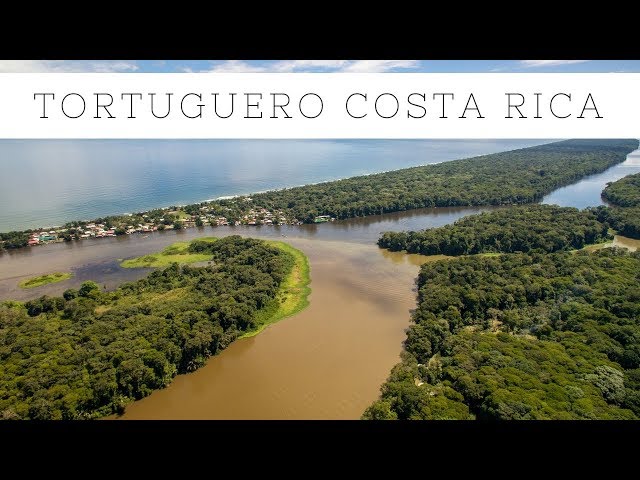 Visiting Tortuguero, Costa Rica: National Park, Turtles and Canals