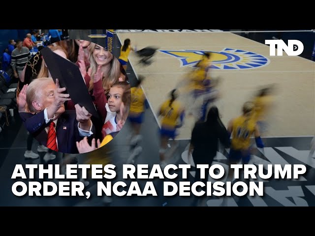 College athletes react to Trump's order on transgender women in sports as NCAA follows suit