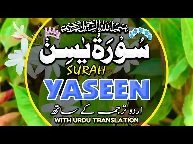 Surah Yasin(Yaseen) | Full With Arabic | Beautiful recitation|یس سورہ 36|000117|edit&pgdinz