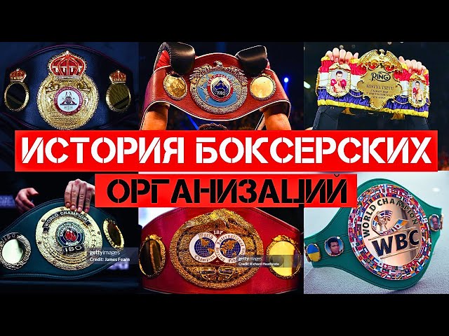 Как создавались мировые организации в боксе? WBA, WBC, IBF и WBO