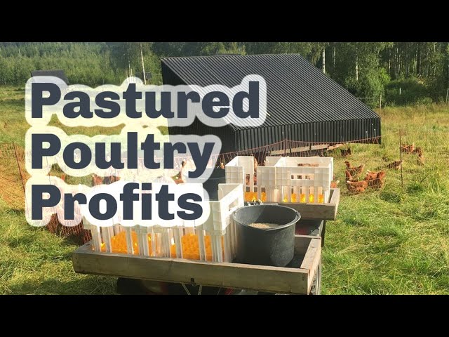 HOW TO RUN A PROFITABLE PASTURED POULTRY BUSINESS S5 ● E40