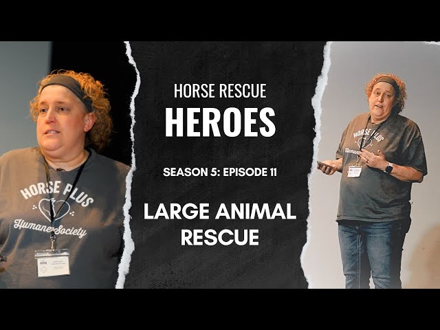 Large Animal Rescue | Horse Rescue Heroes S5E12