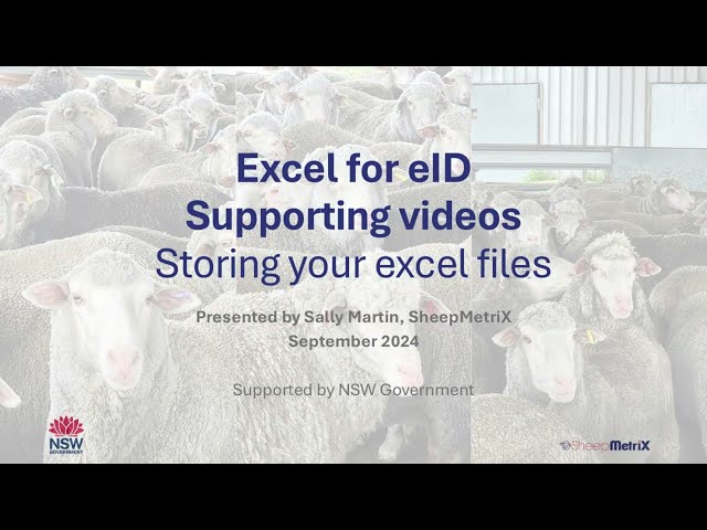 Excel for eID – storing your excel files