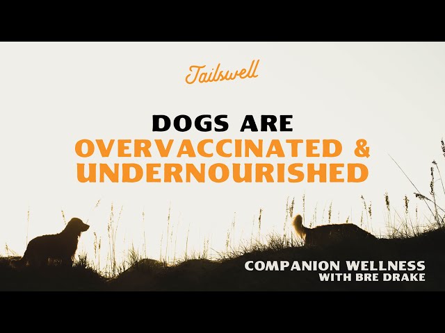 Episode 1: Dogs Are Over Vaccinated and Under Nourished