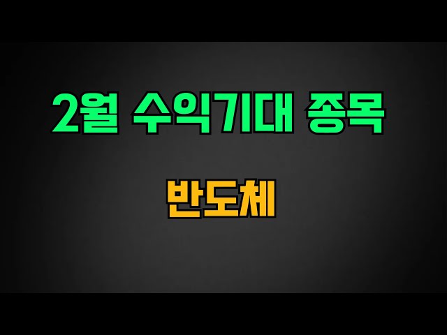 [급등주] 2월 수익 기대 종목 꼭 주목하세요! 세계 유일 NPU 구동 기술 개발 완료 삼성 구글이 선택 칩스앤미디어