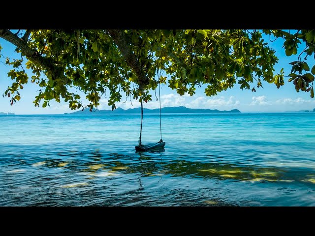 Ocean Sounds 24/7. Tropical Beach Swing on Sea Waves, Ocean White Noise, for Deep Sleep, Meditation.