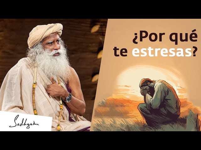 ¿Por qué ocurre el estrés? | Sadhguru Español