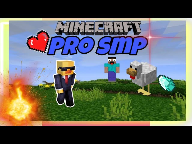 Best SMP for Content creator pro smp (application open)