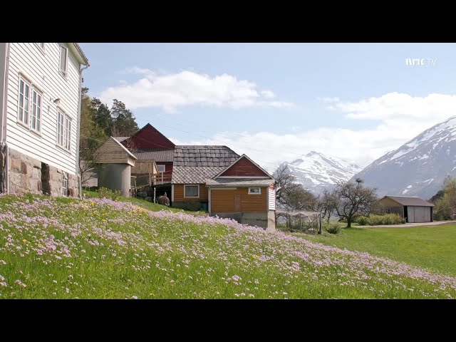 Skorpo - Extreme remote farming on an island in western Norway