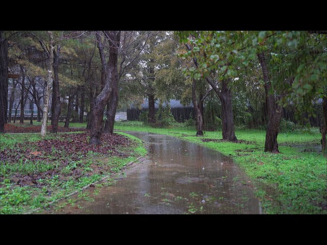 Rain Sounds for Deep Sleep, Fall Asleep Fast with Calming Rain ASMR, Overcome Insomnia