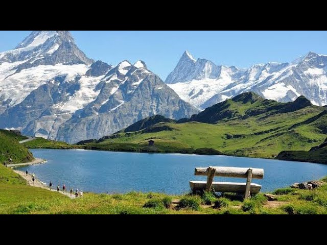 Relaxing Music 24/7, Healing Music, Meditation Music, Spa Music, Sleep, Zen, Study Music, Yoga