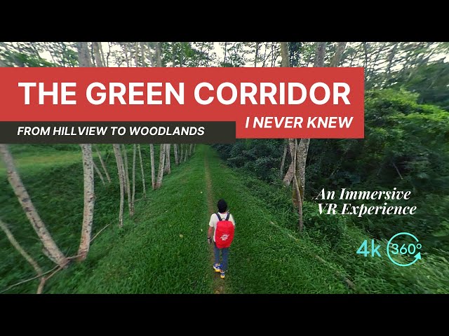 The Green Corridor in Singapore (I Never Knew) - A 360 VR Immersive Experience