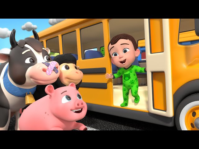 Wheels on the Bus (Animal Time) & MORE | Animal Songs for Kids | Newborn Nursery Rhymes