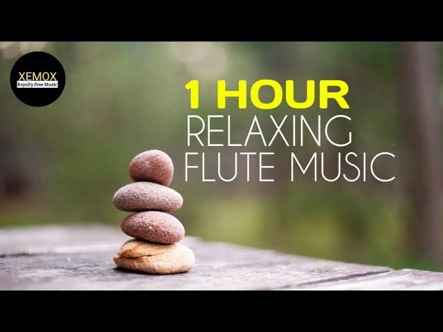 1 Hour Relaxing Flute Music | Royalty Free | Buddha's Flute