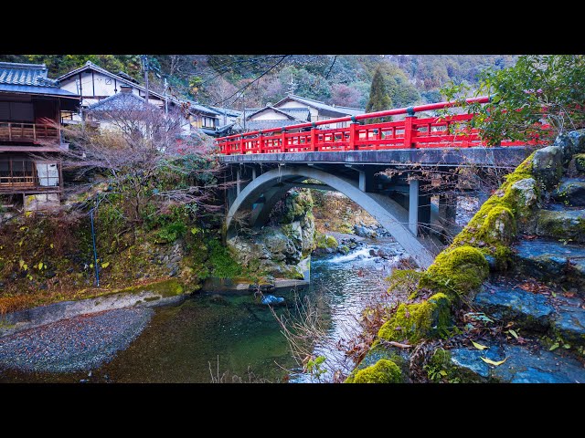 Relaxing Dawn Walk along River and Forests | Kyoto, Japan 4K Nature Ambience | ASMR