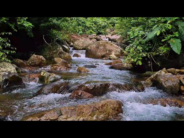 Peaceful Water Sounds for Better Sleep | Soothing Flowing Water for Deep Relaxation & Stress Relief