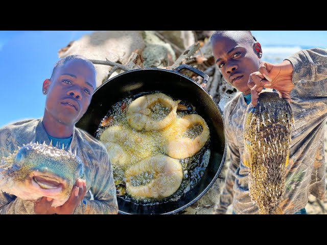 FISHING ADVENTURE | cooking outdoors & exploring