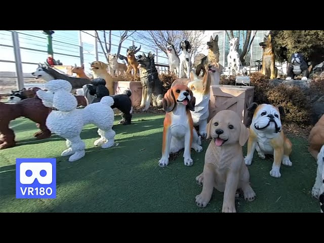 3D 180VR 4K All kinds of puppies are here!!  what is your best puppy for breeds?  Select Top5 Dog