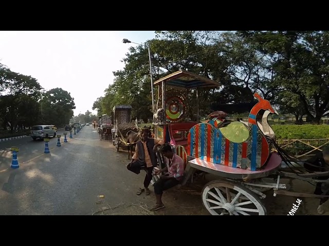 Calcutta Horses 360 video