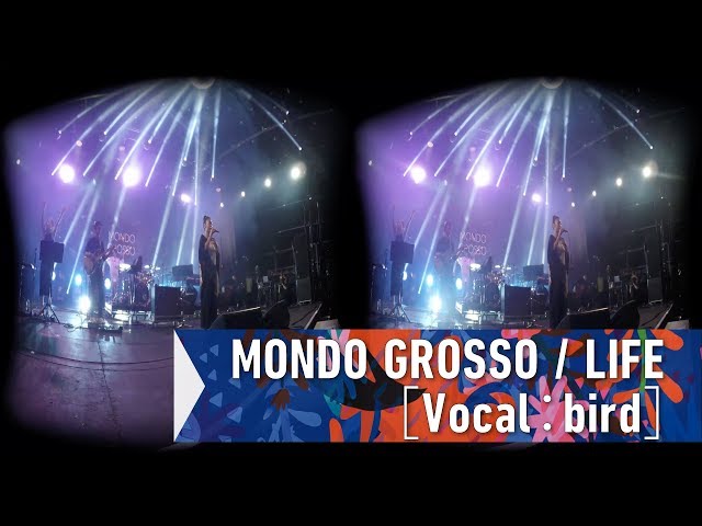 MONDO GROSSO / LIFE［Vocal：bird］(VR180 experience) at FUJI ROCK FESTIVAL '17