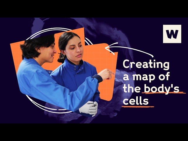 Human Cell Atlas: why we're mapping the body's cells, with Muzlifah Haniffa | Wellcome