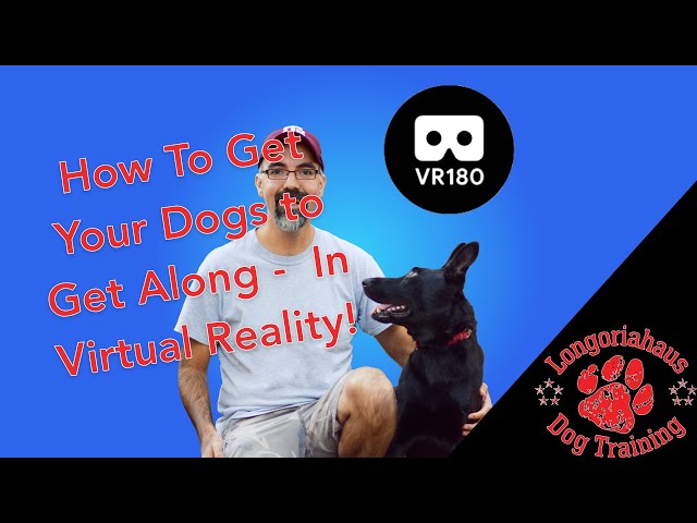 How To Get Your Dogs to Get Along -  In Virtual Reality!