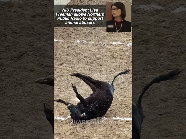 NIU President protects animal cruelty!