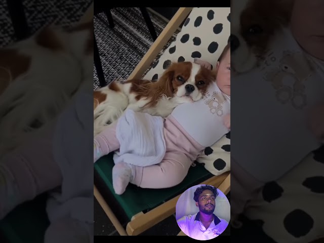 Funny stories about babies and pets 🥰❤️ | part 107 | #pets #dog #baby #cat #animals