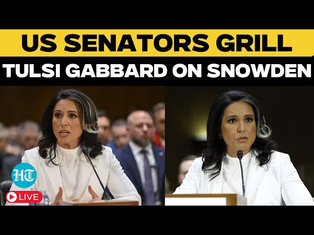 LIVE | Tulsi Gabbard Senate Hearing | Trump Pick Gabbard Faces A Tough Confirmation Hearing