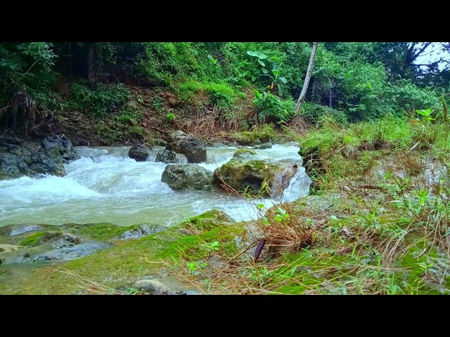 relaxing music with nature sounds - waterfall hd only water sounds for meditation