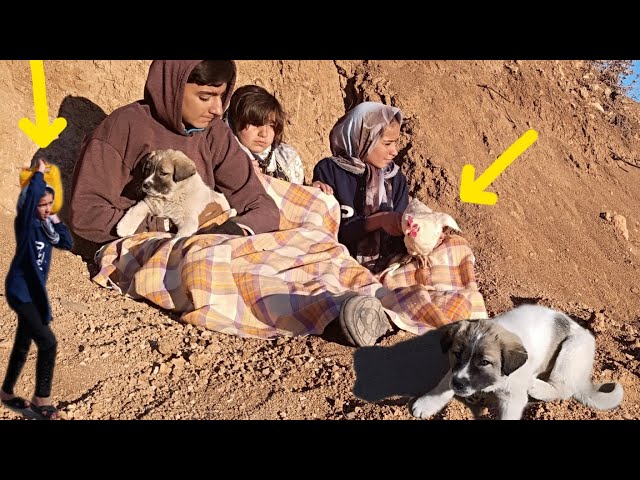 Forced to nomadic life : Orphan children in an attempt to dig the cave to escape the winter❄️