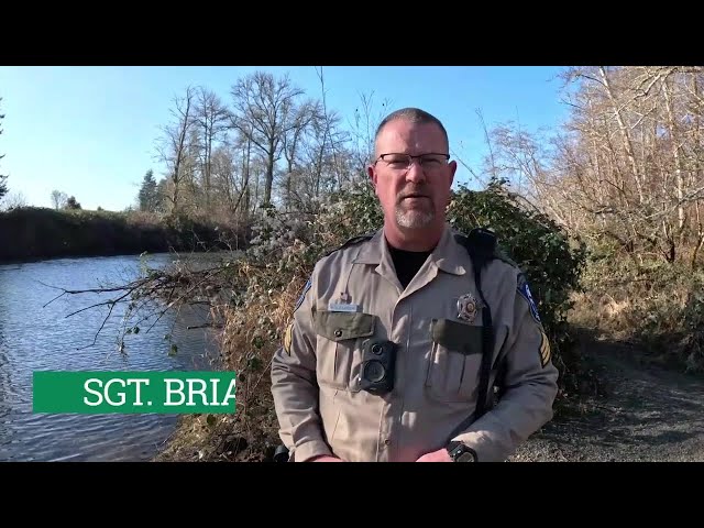 WDFW explains steelhead regulations