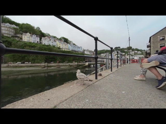 Looe 3D short video 180 VR