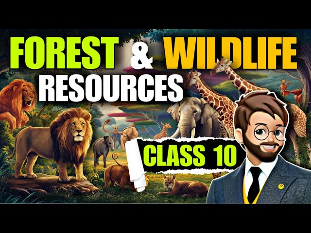 Forest and Wildlife Resources Class 10 | Animated 🌳 | Forest and Wildlife🐒 Resources cbse One Shot