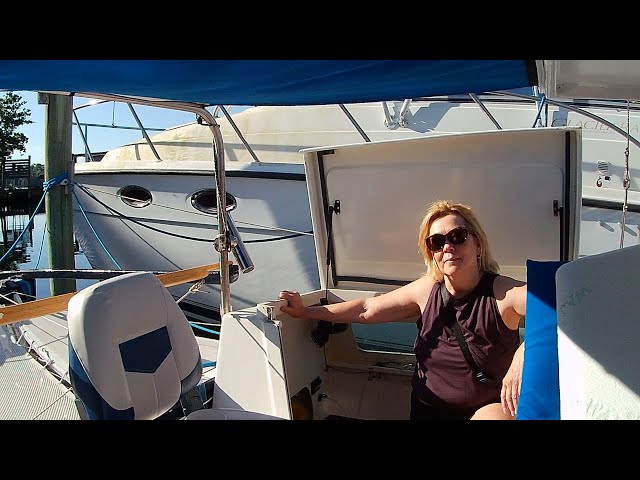 SAILING MOAI Wharram Tiki 26 PIGS OUT!