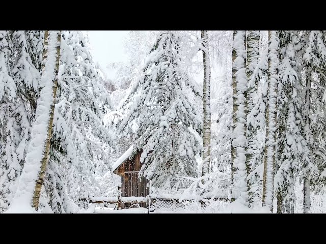 Cozy Mountain Home, Soothing Music by the fireside from the Rocky Mountains with Tim & Elizabeth