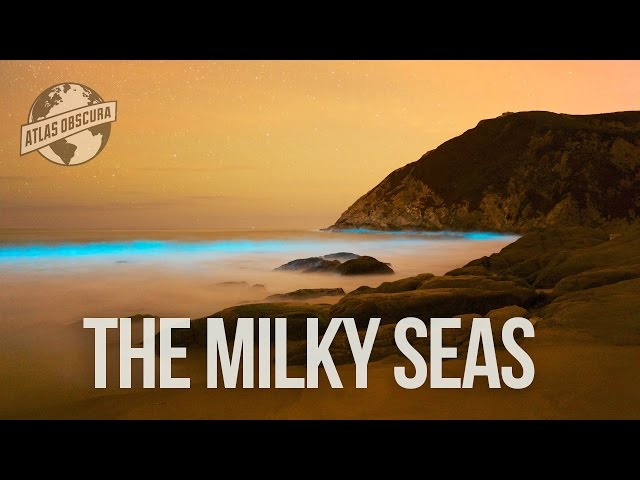 The Milky Seas | 100 Wonders | Atlas Obscura