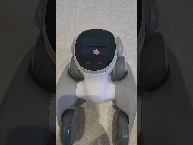 Loona Robot - Playing Dead ☠️ #Shorts #robot #chatgpt #AI #smarthomegadgets #Tech #robotics #funny