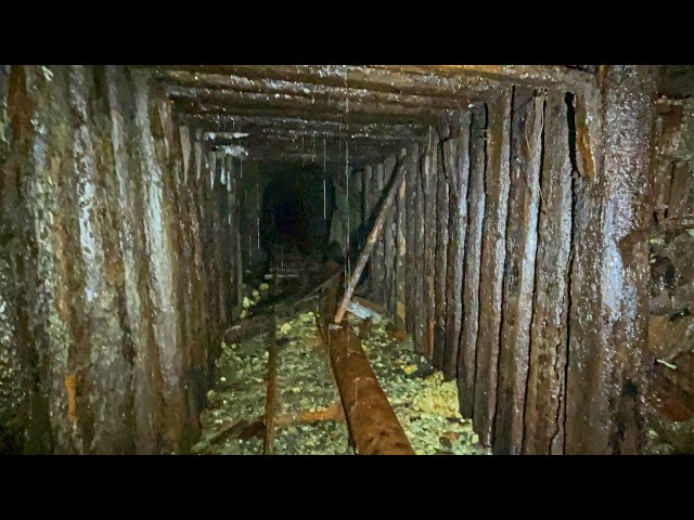 Incredible Timbers in the Franklin Mine!