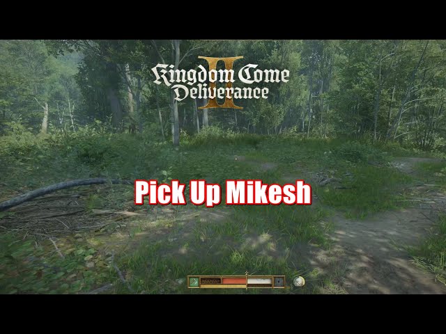 Kingdom Come Deliverance 2 - Pick Up Mikesh ( Carry Mikesh To The Stream )