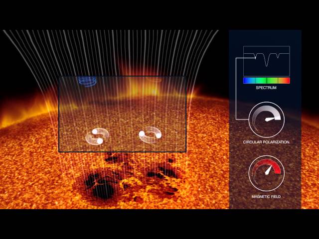 Explanation of how the magnetic field on a star affects the light emitted