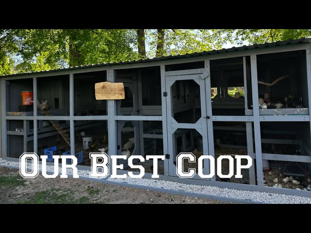 Most Functional Chicken Coop For a Small Farm Homestead. Brooder/Rabbit Hutch/Barn/Breeder Coop.