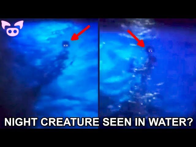 Freaky Sightings Caught on Camera That'll Mess You Up