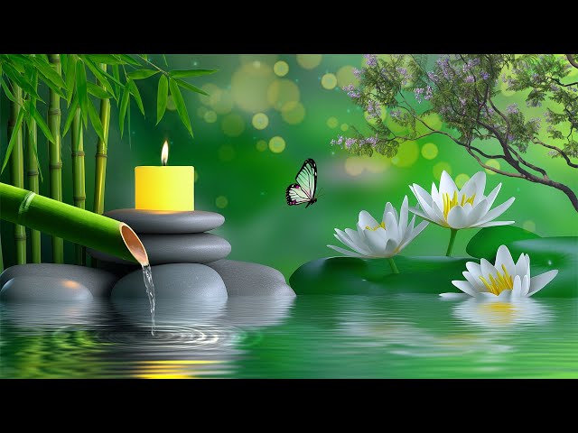 Soothing Relaxation Music, Relaxing Piano Music, Sleep Music, Water Sounds, Relax Music, Meditation